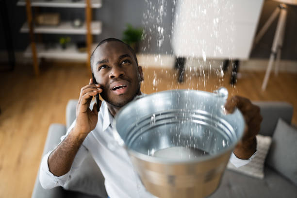 Water damage restoration mold remediation in Ave Maria, FL