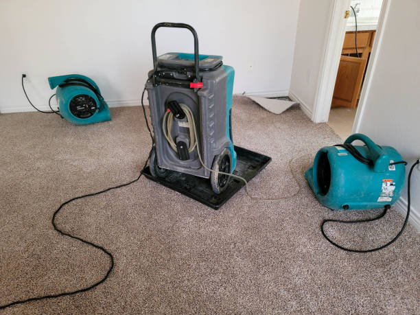 Best Fire Damage Restoration  in Ave Maria, FL