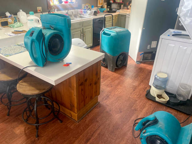 Best Professional water damage repair  in Ave Maria, FL