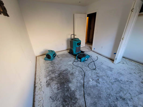Best 24/7 water damage repair  in Ave Maria, FL