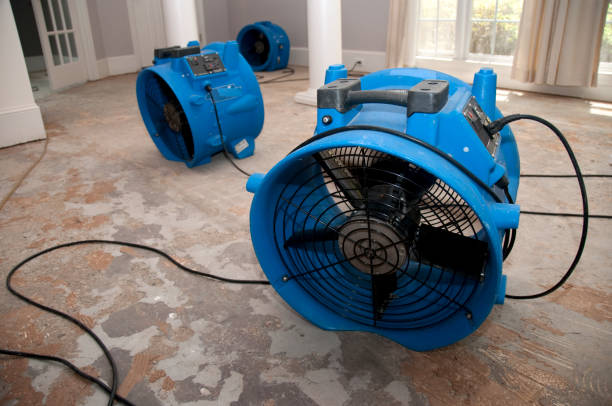 Best Sewage cleanup and water damage restoration  in Ave Maria, FL