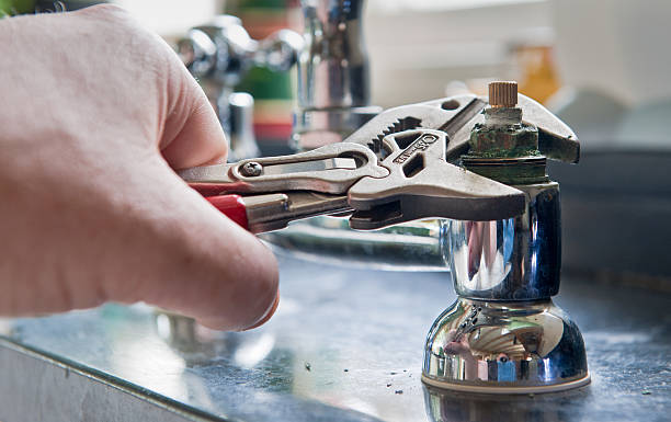 Best Water damage contractors near me  in Ave Maria, FL