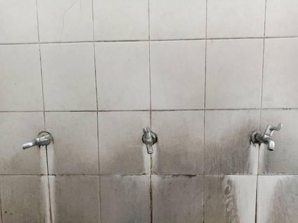 Best Ceiling water damage repair  in Ave Maria, FL