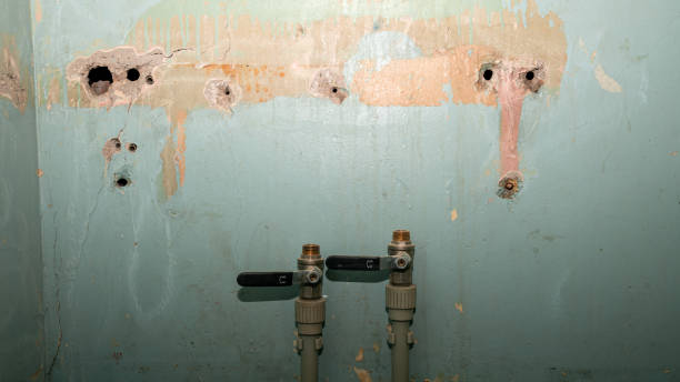 Best Carpet water damage restoration  in Ave Maria, FL