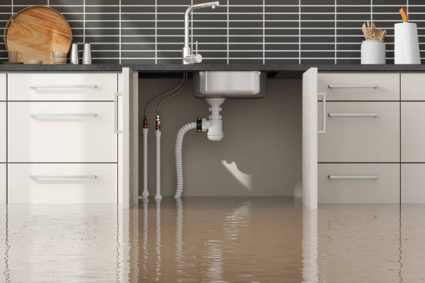 Best Basement water damage restoration  in Ave Maria, FL