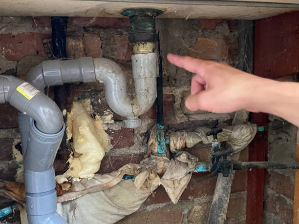 Best Flood damage cleanup  in Ave Maria, FL