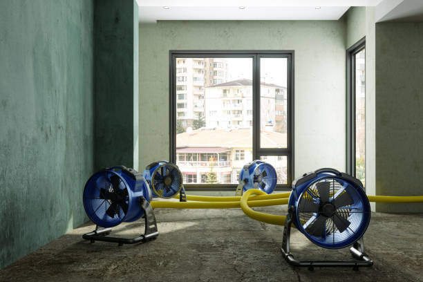 Best 24/7 water damage repair  in Ave Maria, FL