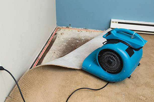 Trusted Ave Maria, FL Water damage restoration Experts